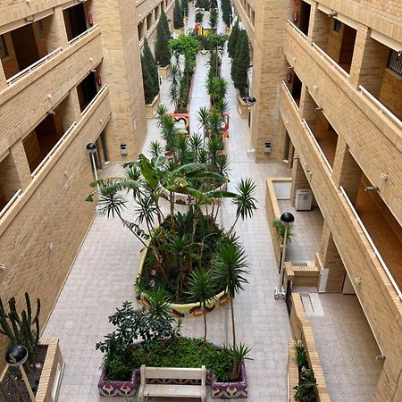 Apartamento Oropesa Marinador 오로페사델마르 외부 사진